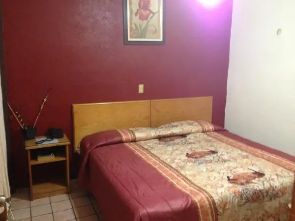 Hotel Primavera 9